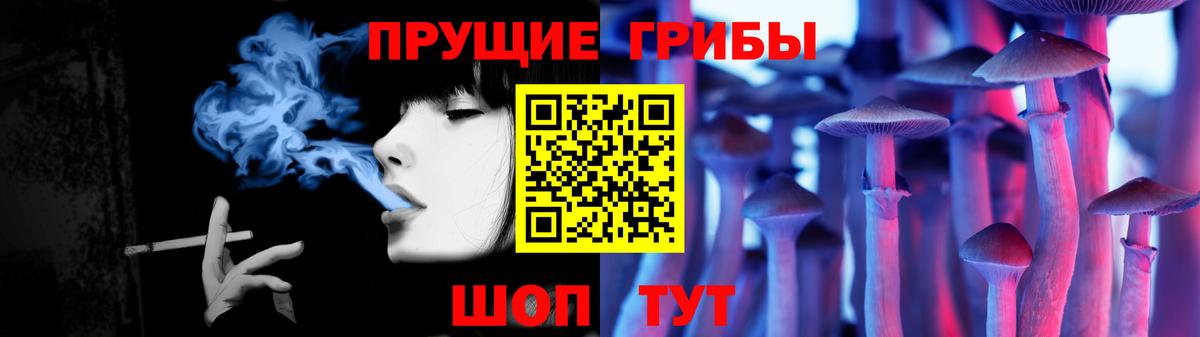 Галлюциногенные грибы Psilocybe  Вход с VPN  Воронеж 